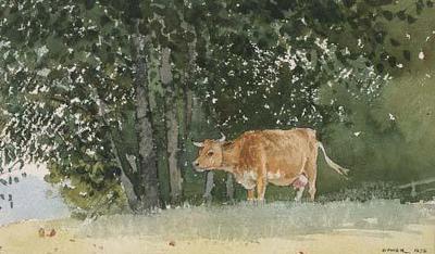 [Homer - Cow in Pasture] 