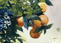 [Oranges on a Branch]