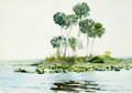[St Johns River, Florida]