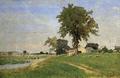 [Old Elm at Medfield]