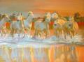 [Camargue]
