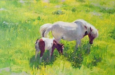 [Ireland - Piebald Horse and Foal] 