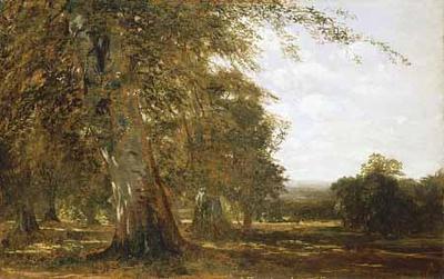 [Kensett - Windsor Woods] 