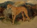 [A Deerhound]