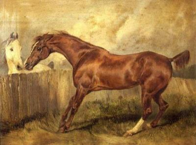 [Landseer - Marianne, a Favorite Hunter] 