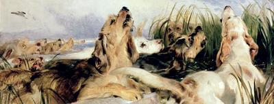 [Landseer - Otter Hounds] 