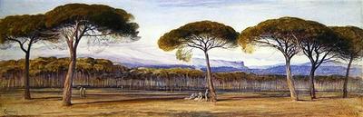 [Lear - A View of the Pine Woods Above Cannes] 
