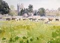 [Looking Across Christ Church Meadows]