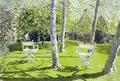 [Silver Birches]