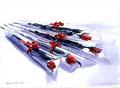 [Wrapped Roses]