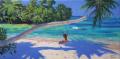 [Girl on a Swing, Seychelles]