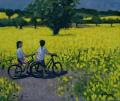 [Yellow Field, Kedleston, Derby]