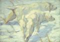 [Siberian Dogs in the Snow]