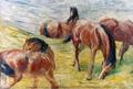[Horses out to Pasture]