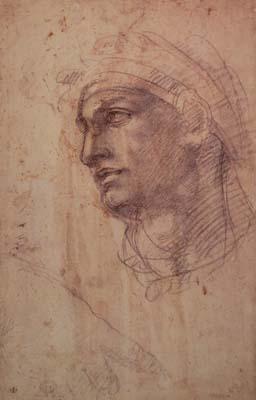 [Michelangelo - Study of a Head] 
