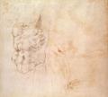 [Torso Study]