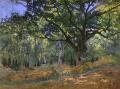 [The Bodmer Oak, Fontainebleau Forest]