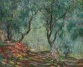 [Olive Trees in the Moreno Garden]