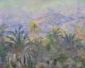 [Palm Trees at Bordighera]