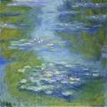 [Waterlilies]