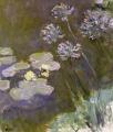 [Waterlilies and Agapanthus]