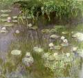 [Waterlilies at Midday]