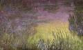 [Waterlilies at Sunset]