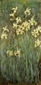 [Yellow Irises]