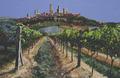 [Grape Vines, San Gimignano, Tuscany]