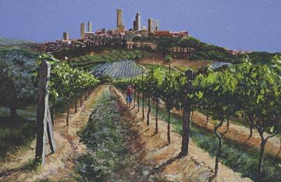[Neal - Grape Vines, San Gimignano, Tuscany] 