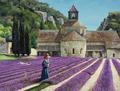 [Lavender Picker, Abbaye Senanque, Provence]