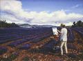 [Painter, Vaucluse, Provence]