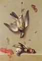 [Still Life of Dead Birds and Cherries]