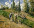 [The Harvest, Pontoise]