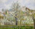 [Vegetable Garden with Trees]