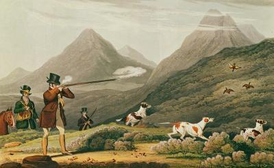 [Pollard - Grouse Shooting in the Highlands] 