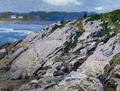 [Along the Coast]