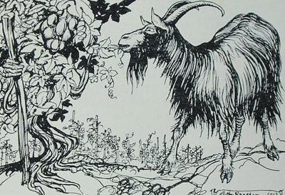 [Rackham - The Goat and the Vine] 