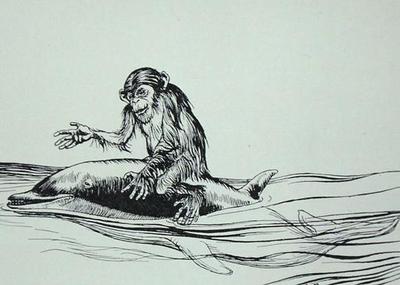 [Rackham - The Monkey and the Dolphin] 