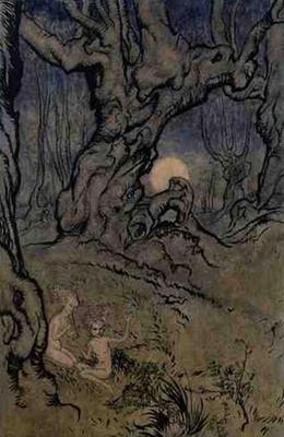 [Rackham - Moonlight Fairies in a Wood] 