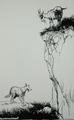 [The Wolf and the Goat]