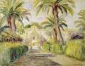 [The Palm Trees]