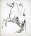 [Horseman of Montecavallo]