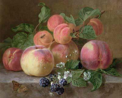 [Ronner-Knip - Still Life of Peaches] 
