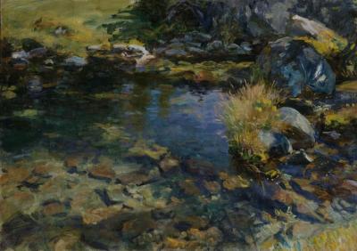 [Sargent - Alpine Pool] 