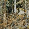 [The Hermit (Il Solitario)]