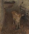 [A Jersey Calf]