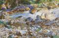 [Mountain Stream]
