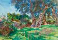 [Olive Trees, Corfu]