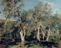 [Olives, Corfu]